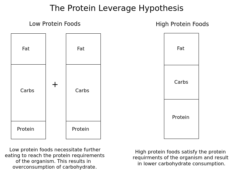 protein leverage hypothesis