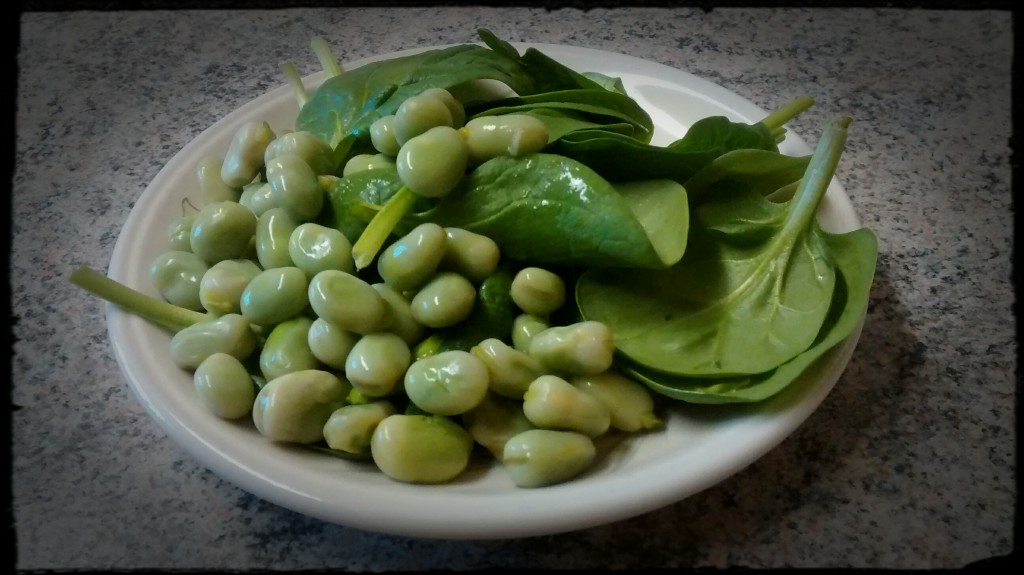 Legumes and spinach contain iron,. However, the iron in plants is not well absorbed compared to the iron in red meat. 