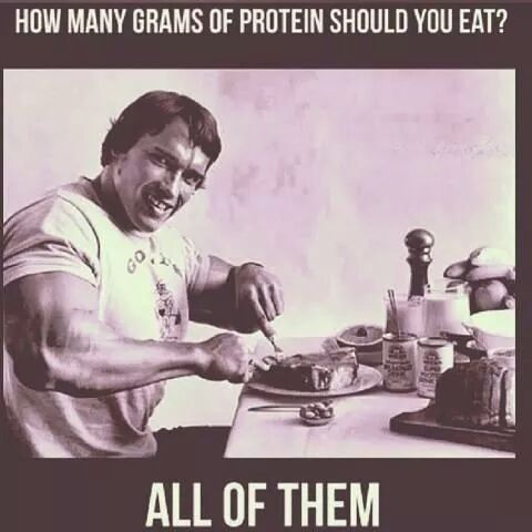 Arnold Schwarzenegger Protein