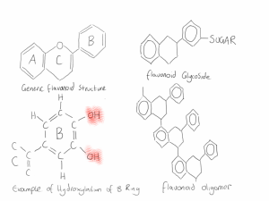 flavonoid structure