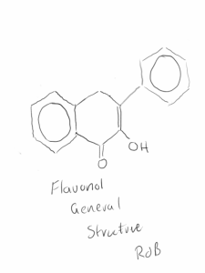 flavonol structure