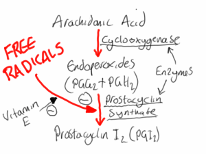 prostacyclin synthase