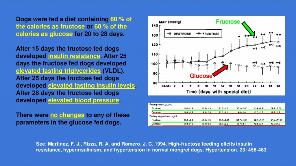 fructose insulin resistance