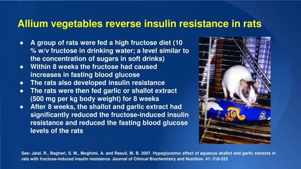 allium vegetables insulin resistance