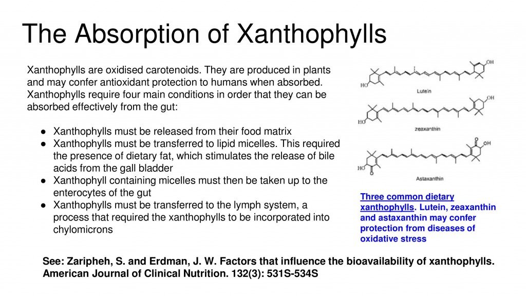 carotenoids xanthophylls