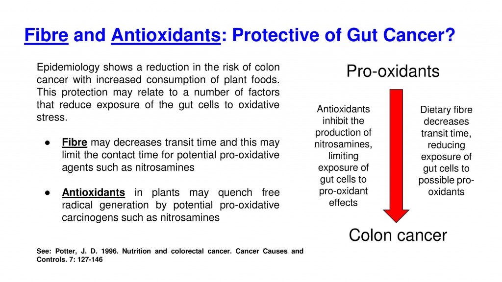 colon cancer antioxidants fibre