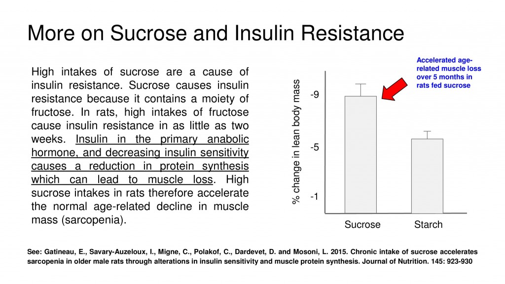 sucrose insulin resistance
