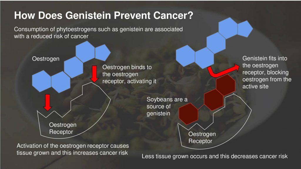 genistein cancer