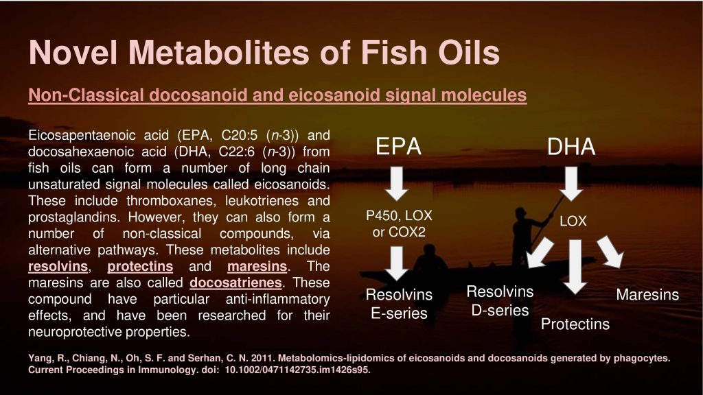 fish oils DHA EPA