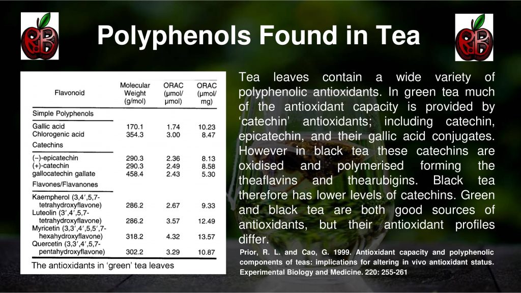 polyphenols tea