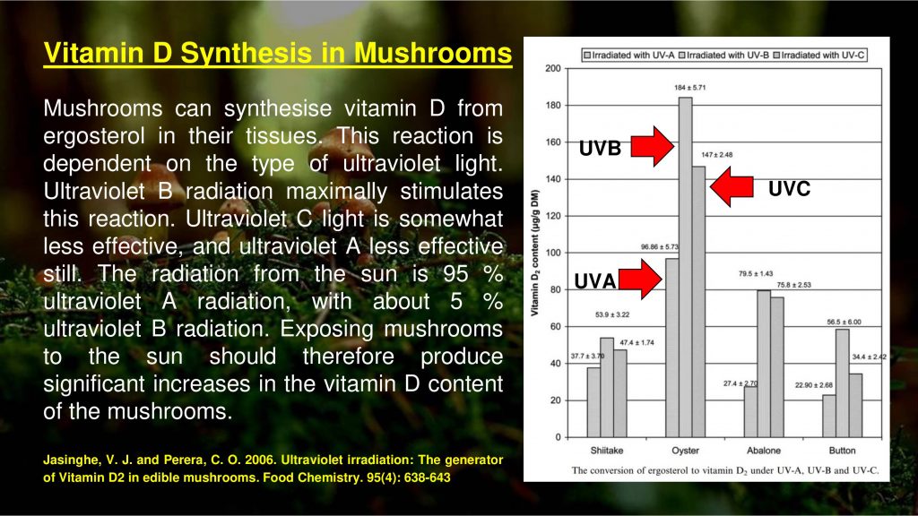 Vitamin D Synthesis in Mushrooms (281017)