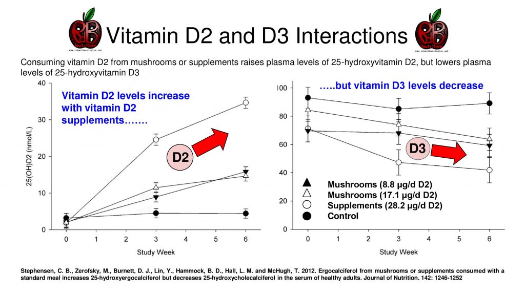 vitamin D2 vitamin D3