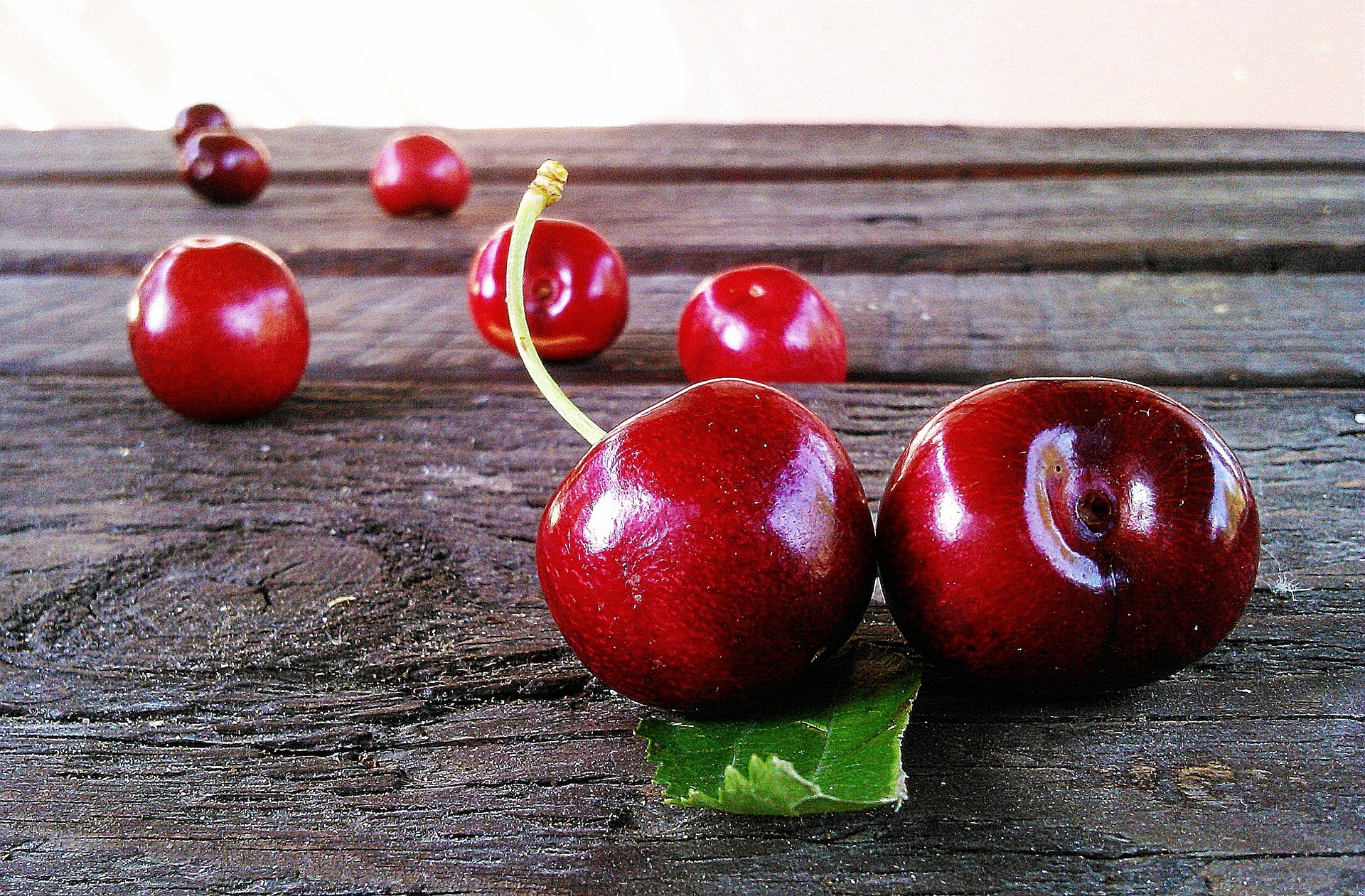 Tart cherries contain flavonoids that are metabolised to phenolic acids in the gut. These phenolic acids can then be absorbed. Once in the circulation, phenolic acids may act as antioxidants, and this may produce anti-inflammatory and blood pressure lowering effects. Other fruits and vegetables rich in flavonoids may also have a similar effect on blood pressure. 