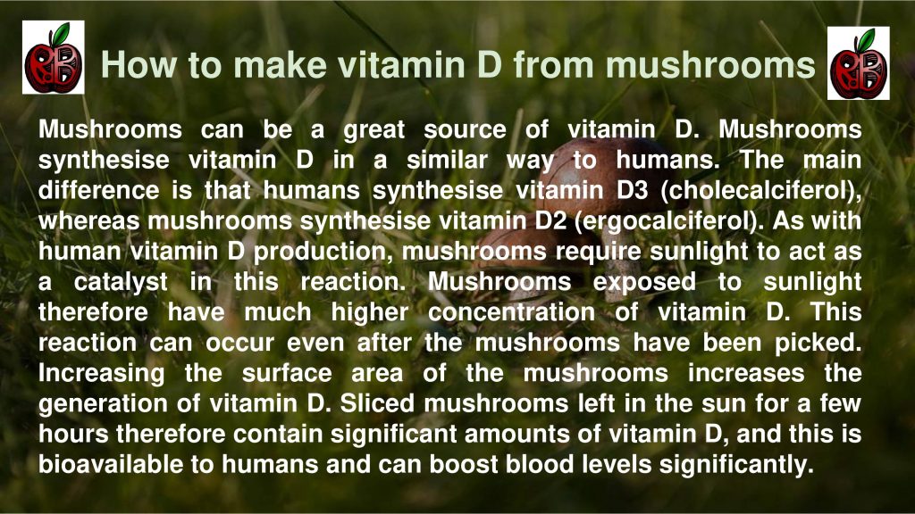 vitamin D mushrooms