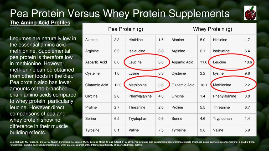 pea protein whey protein
