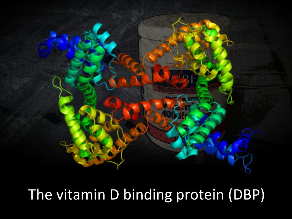 vitamin d binding protein