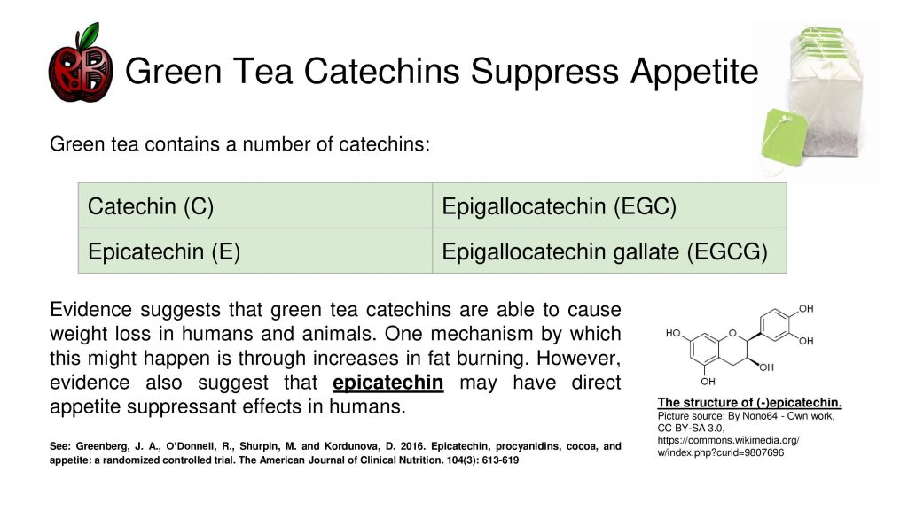 green tea catechins weight loss