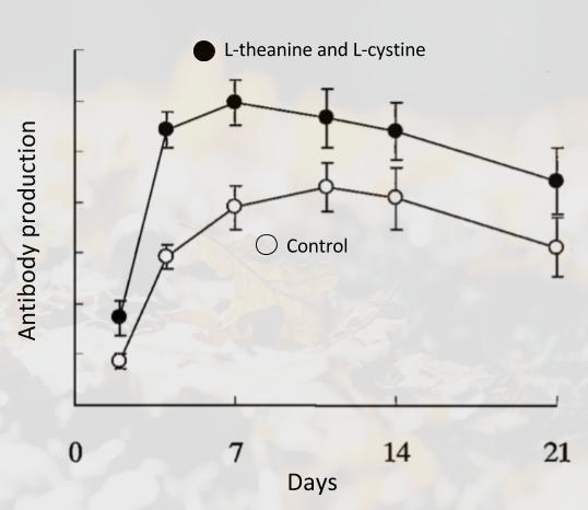l-theanine l-cystine