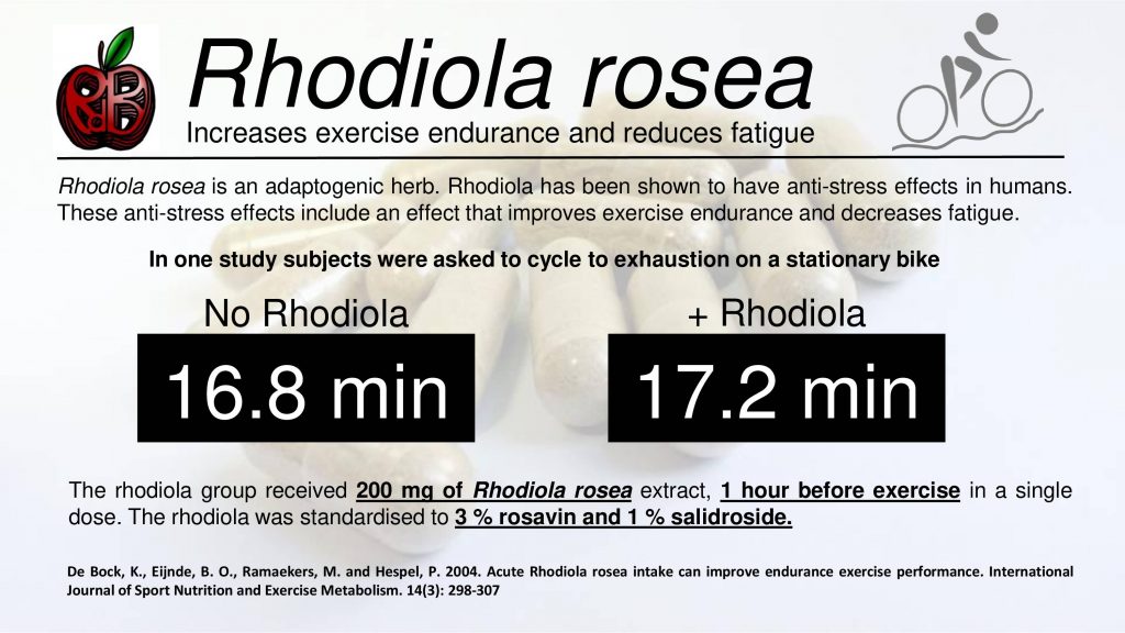 rhodiola rosea