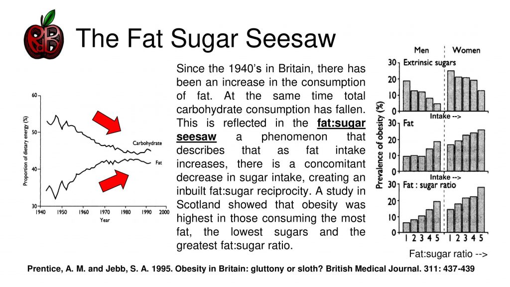 fat sugar seesaw
