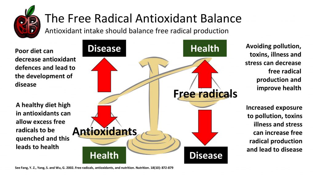 free radicals antoxidants
