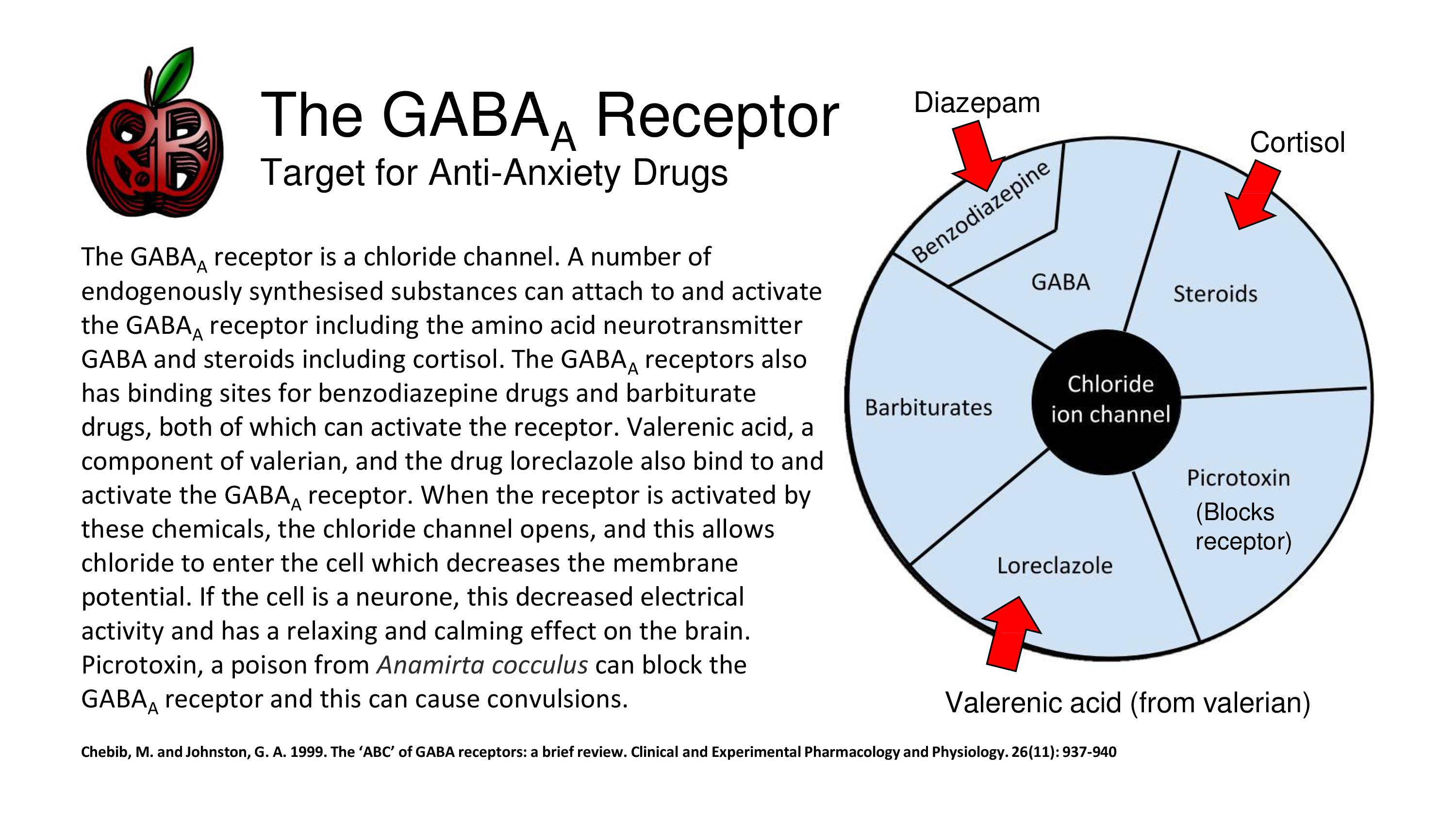 gaba anxiety depression