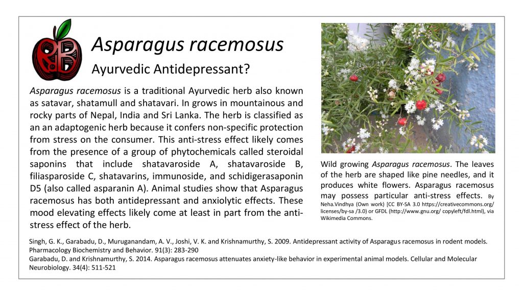asparagus racemosus anxiety depression