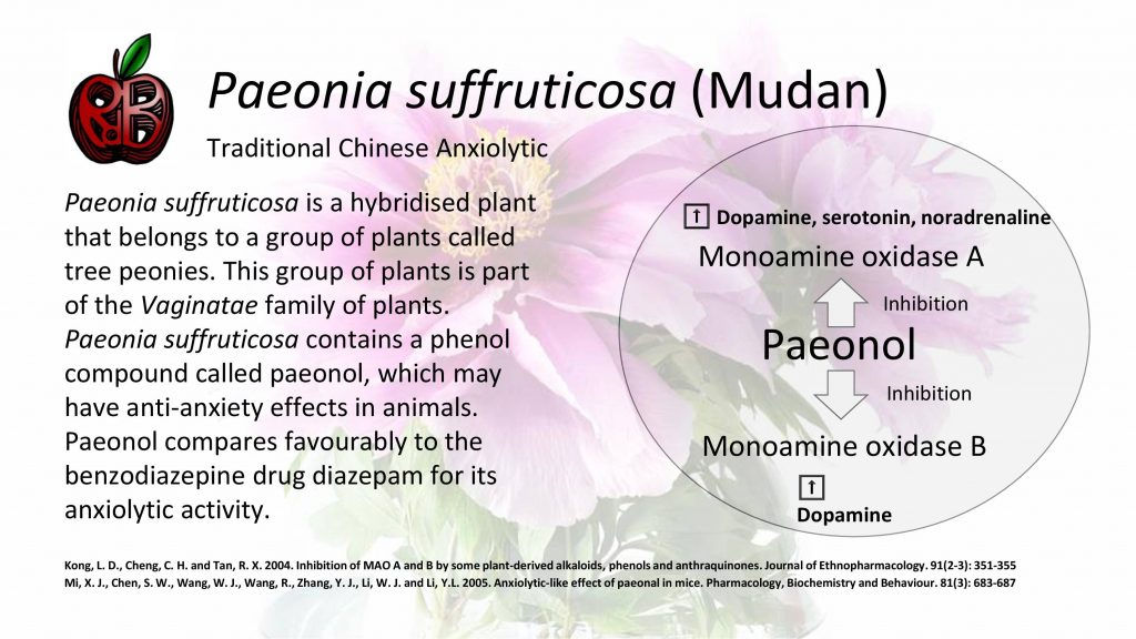 Paeonia suffruticosa (Mudan) anxiety