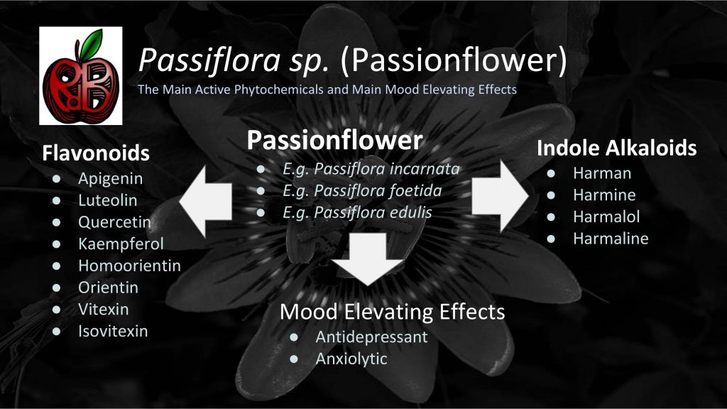 passionflower anxiety depression