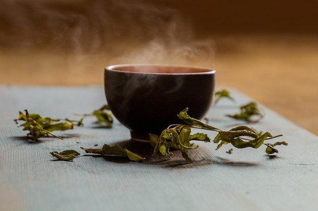 green tea antioxidants catechins