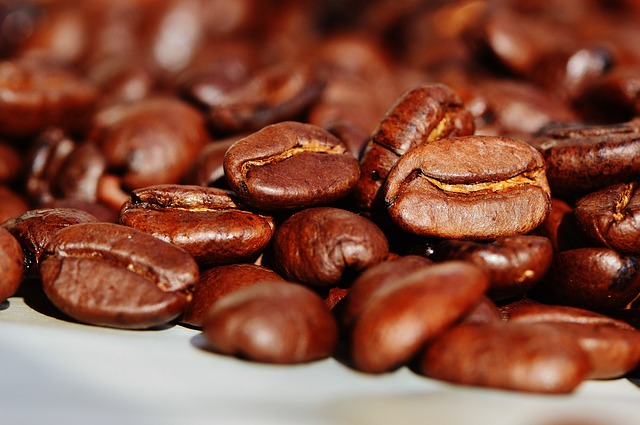 coffee antioxidants